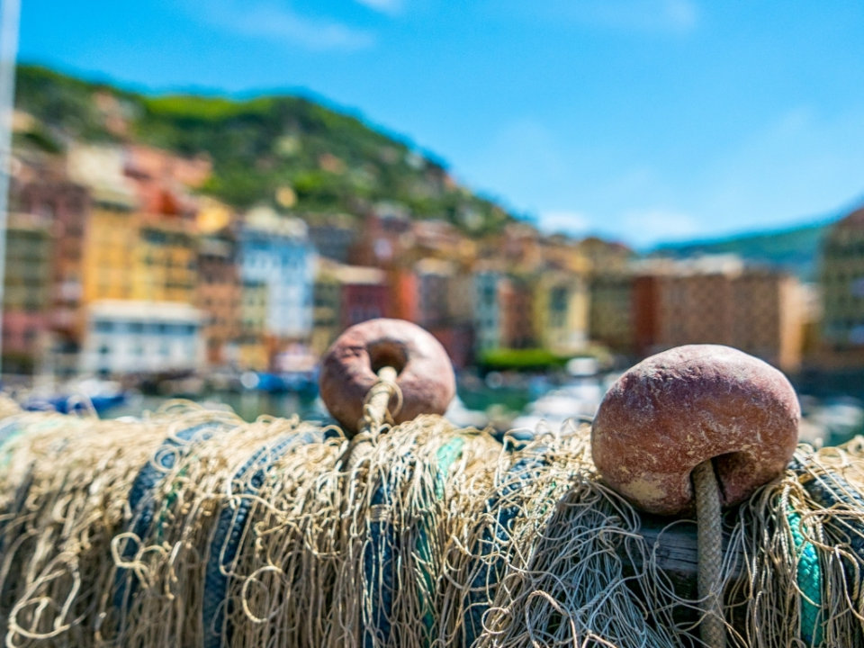 to the Delicious Camogli Fish Festival (Sagre del Pesce) MP